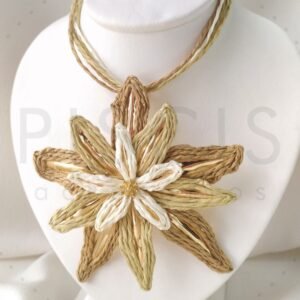 Collar Poinsettia, bicolor.
